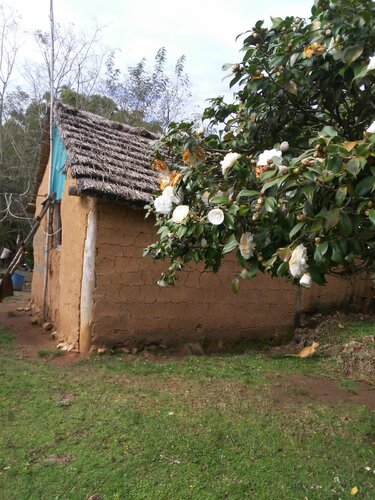 Casa do Quilombo Corredor dos Munhós